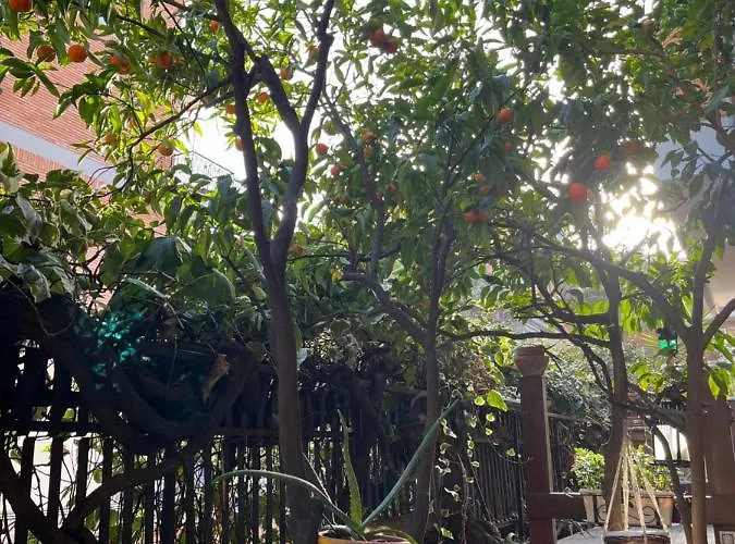 Acquedotti With Garden *